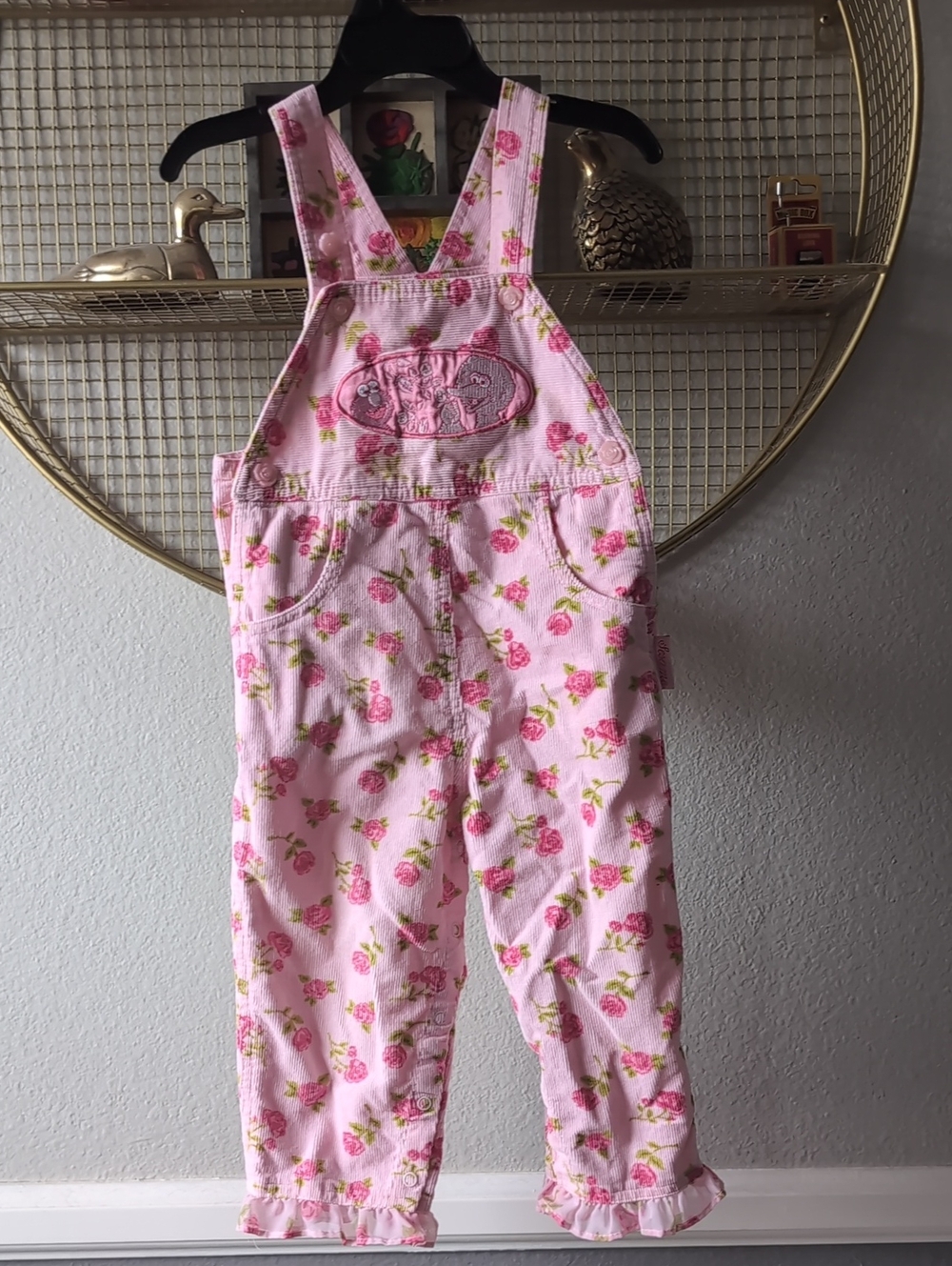 Sesame Street Pink Floral Girls' Overalls, Elmo And Big Bird
